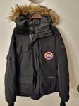 Canada goose expedition 