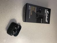 Marshall earbuds