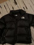 Men's 1996 Retro Nuptse Jacket (unisex) svårt