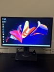 Asus MG248Q 144hz 1ms