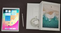 Apple ipad Pro 12,9" 64GB Guld (2nd gen)  / Apple Pencil