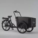 Cargobike flex