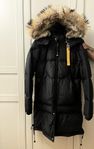 parajumper longbear str M