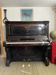 Steinway Piano