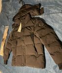 canada goose Wyndham (S/M/L)