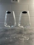 Vin Glas Riedel  wine wings glas