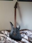 Schecter Revenger