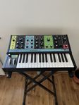 Moog Grandmother