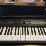 Casiotone lk-s450