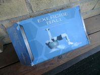 exercise ball gymboll övningsboll ny nytt pump pilatesboll