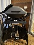 Weber elgrill