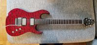 Samick  Interceptor Electric guitar