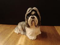 Shihtzu - The Leonardo Collection