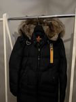 Parajumpers Long bear (S) dam 