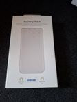 Samsung 10000 mAh Powerbank