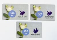 Presentkort Euroflorist värde 300kr 