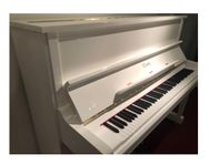 Steinwaykonstruerat Piano