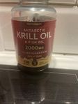 krill oil 