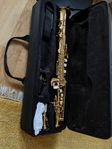 Sopransax Roy Benson SS302