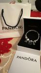 Pandora Armband