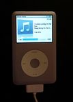 iPod 80 Gb 