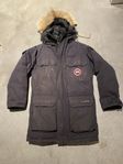 Canada goose XXXS 