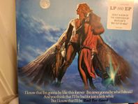 LP Jim Steinman - Bad for Good