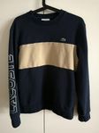 Lacoste tröja herr M/L 