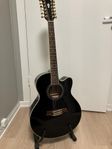 Ibanez AEL2012e-TKS1204