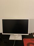 ZOWIE 24.5” 240hz skärm