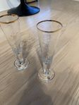 Pukeberg champagne glasses