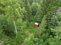 Drömtomt med närhet till natur och sjöliv i Säljemar