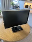 HP datorskärm 24”