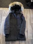 canada goose xs 