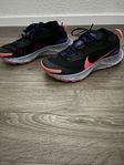 Nike Pegasus Trail Gore tex storlek 42