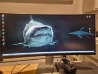 Dell monitor skärm 34 tum