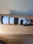 Sony FE 200-600mm f/5,6-6,3 G OSS