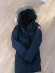 canada goose- Victoria parka dam 