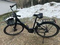 ecoride ambassadör damcykel