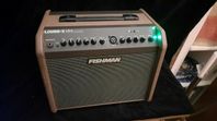 Fishman Loudbox Mini Charge med Bluetooth