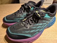 Hoka speedgoat 5