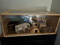 Hamsterbur Skyline Nagarium + semesterburar