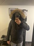 Canada goose Carson, storlek M