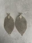 Leaf earrings in silver