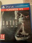 spel until dawn