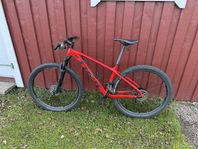 Trek Mountainbike