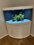 Hörnakvarium Juvel Trigon 350