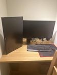 Gaming monitor