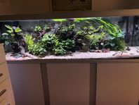 Akvastabil fusion 720 liters akvarium 