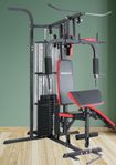 Multigym 100kgvikt